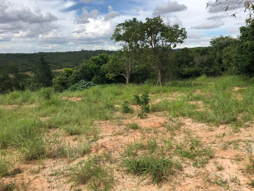 Terreno, 6500 m² - Foto 6