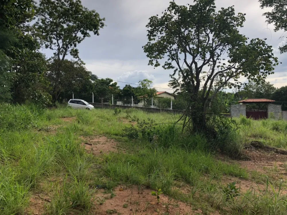 Terreno, 6500 m² - Foto 5