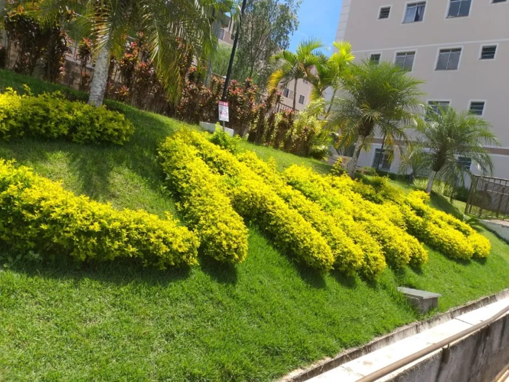 Apartamento, 2 quartos, 45 m² - Foto 3