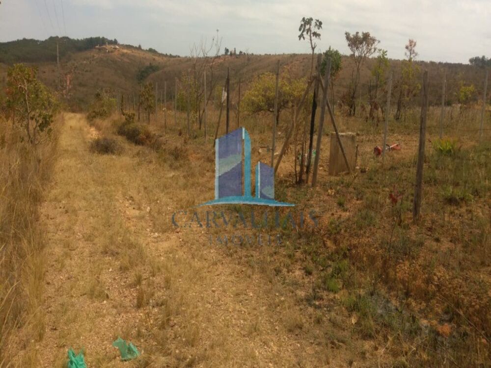 Terreno, 5000 m² - Foto 1