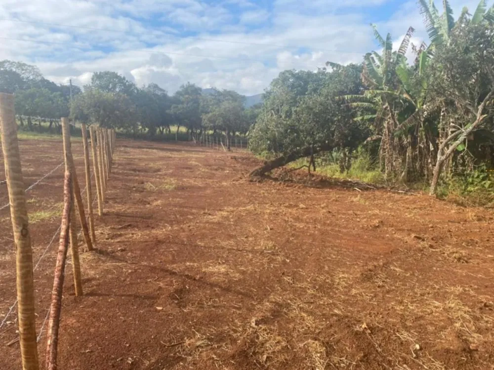Terreno, 1000 m² - Foto 7