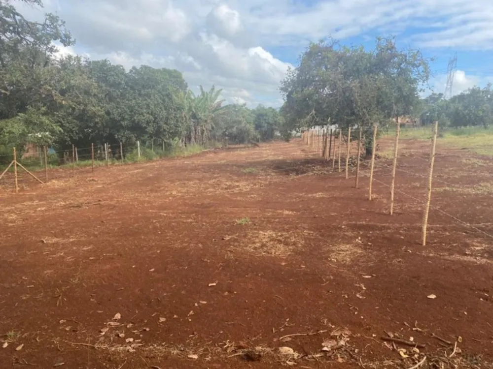 Terreno, 1000 m² - Foto 5