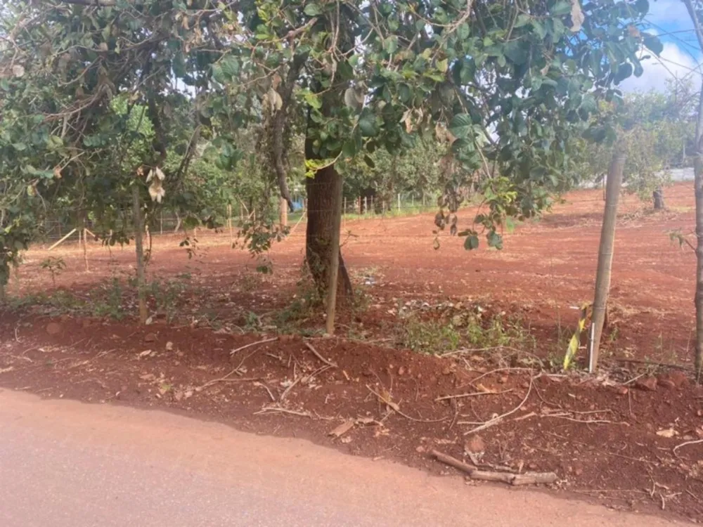 Terreno, 1000 m² - Foto 1