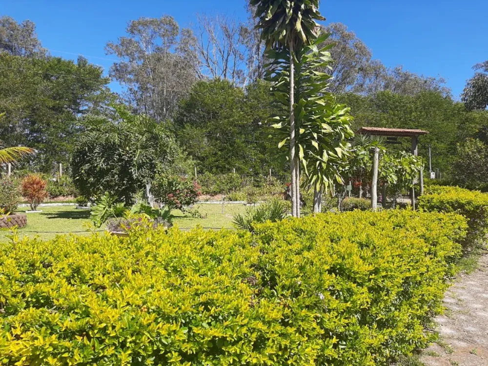Sítio, 5 quartos, 20000 m² - Foto 3