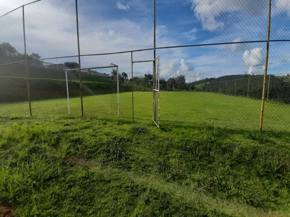Sítio, 5 quartos, 20000 m² - Foto 6