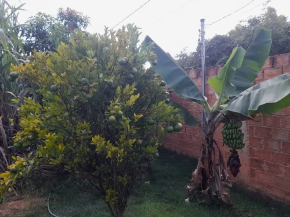 Casa, 2 quartos, 360 m² - Foto 3