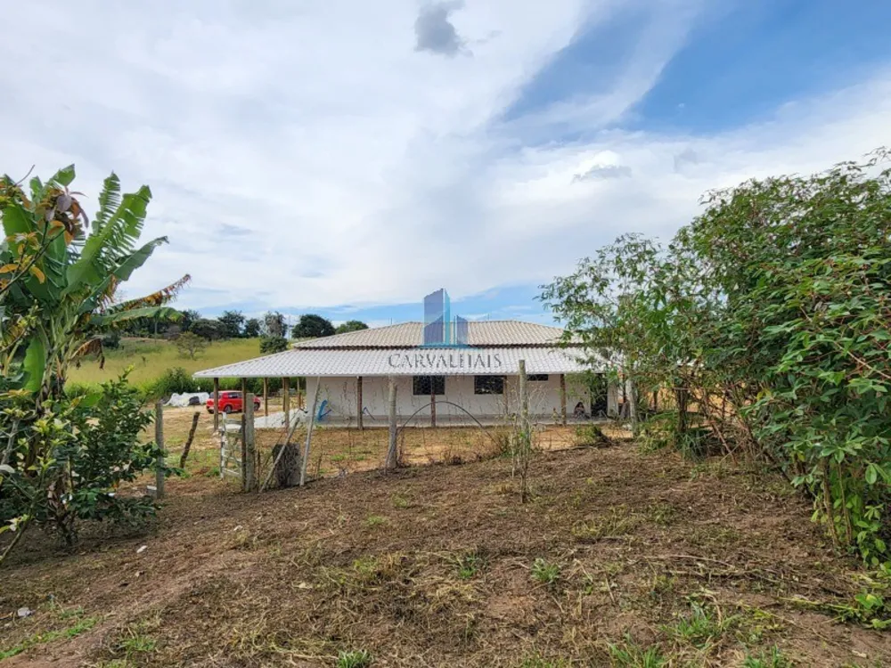 Sítio, 4 quartos, 20000 m² - Foto 3