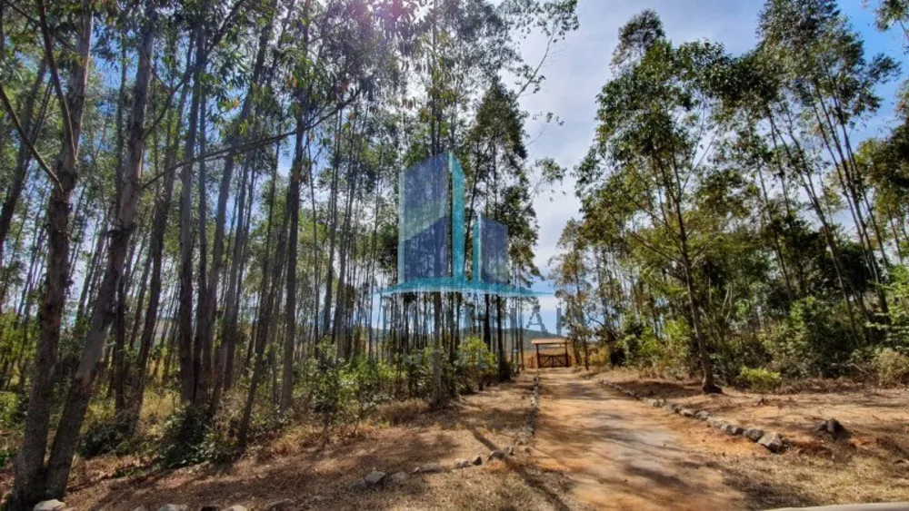 Sítio, 6 quartos, 30000 m² - Foto 4