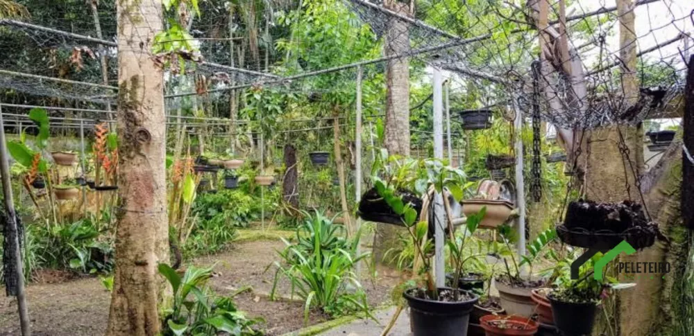 Casa, 4 quartos - Foto 46