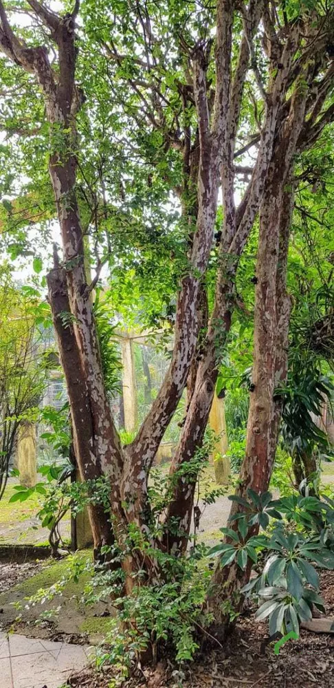 Casa, 4 quartos - Foto 47