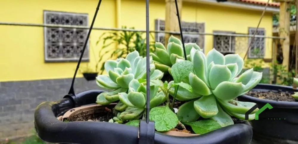 Casa, 4 quartos - Foto 37