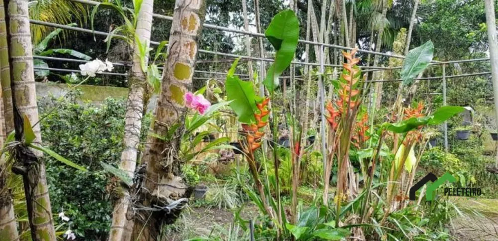 Casa, 4 quartos - Foto 40