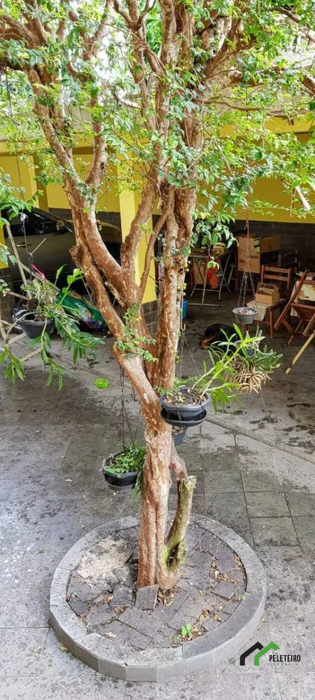 Casa, 4 quartos - Foto 45