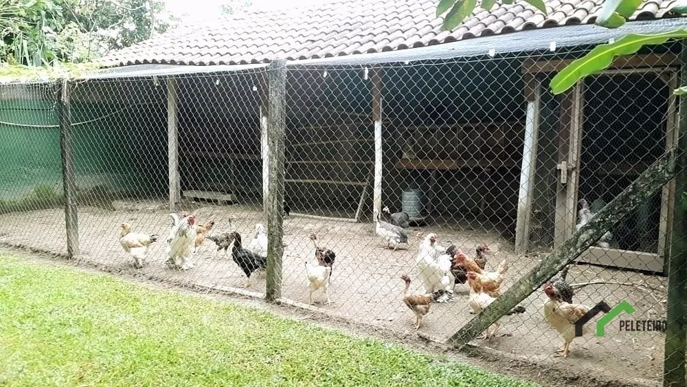 Casa, 6 quartos - Foto 59