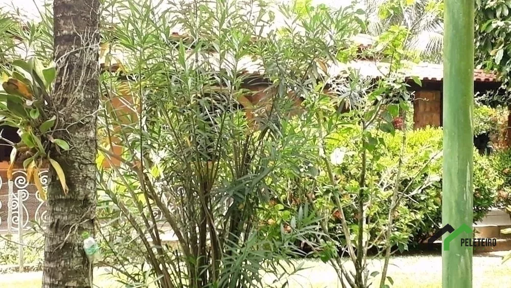 Casa, 6 quartos - Foto 13