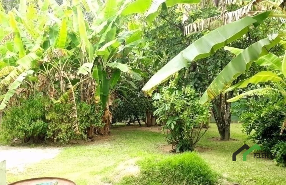 Casa, 6 quartos, 290 m² - Foto 127