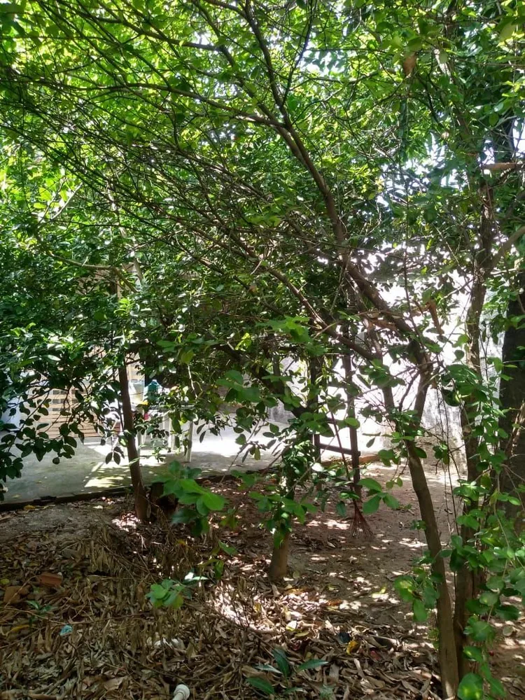 Casa - Foto 35