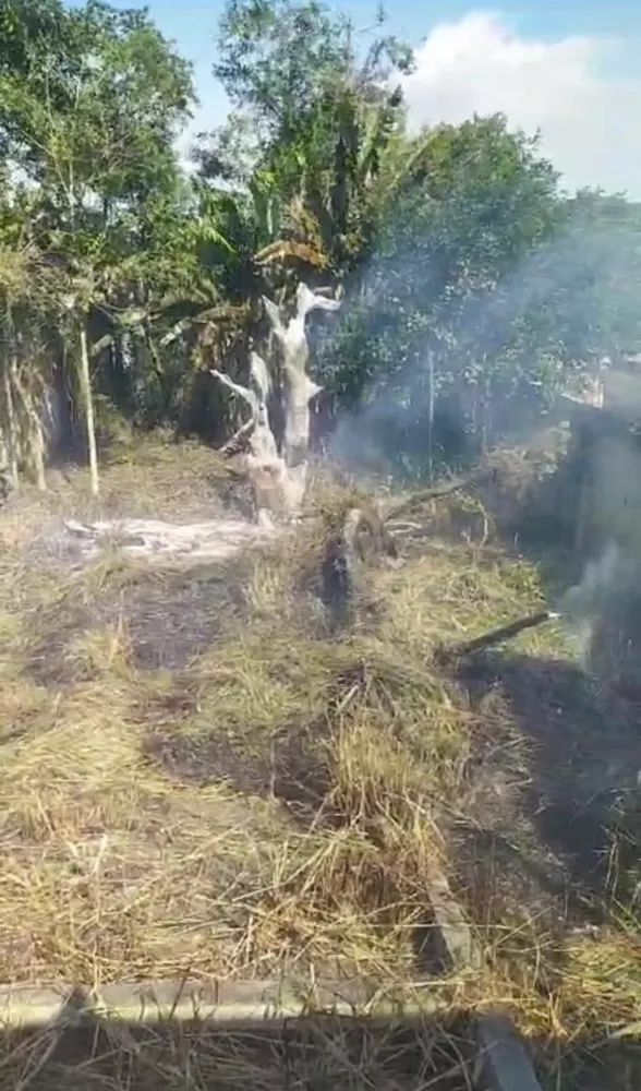 Terreno, 360 m² - Foto 5