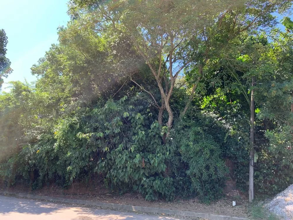 Terreno - Foto 2