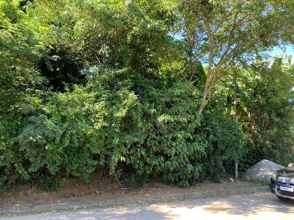 Terreno - Foto 3