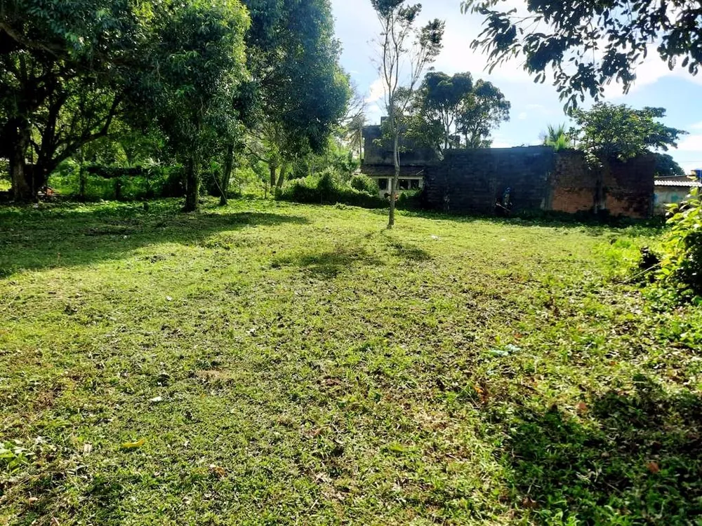 Terreno, 533 m² - Foto 4