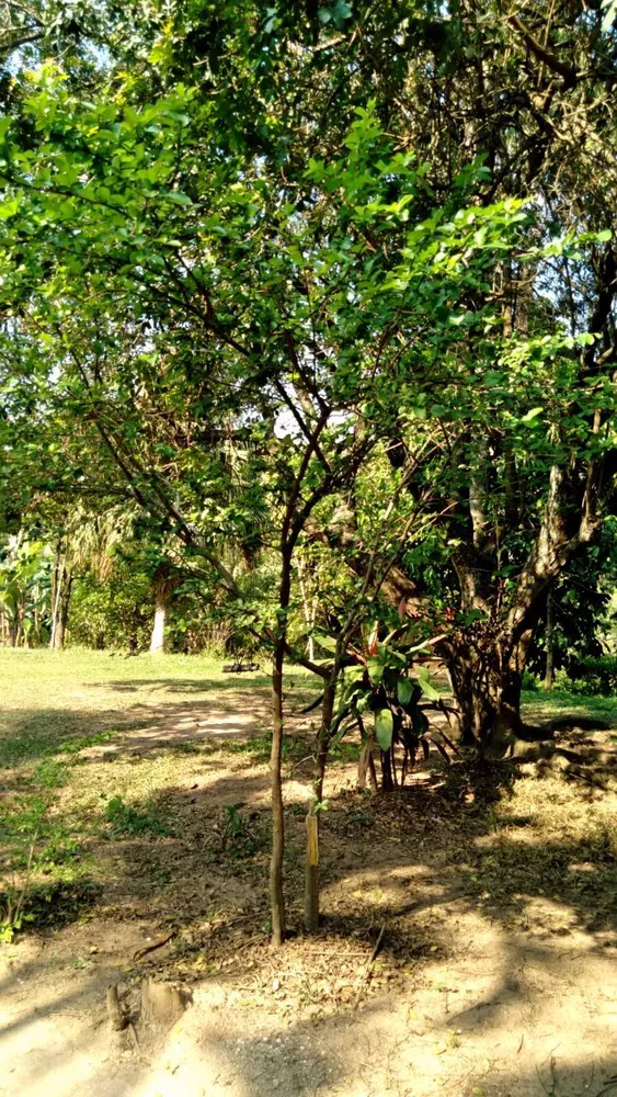 Sítio, 3 quartos, 1 hectares - Foto 18