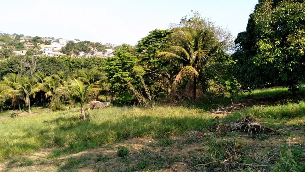 Sítio, 3 quartos, 1 hectares - Foto 40