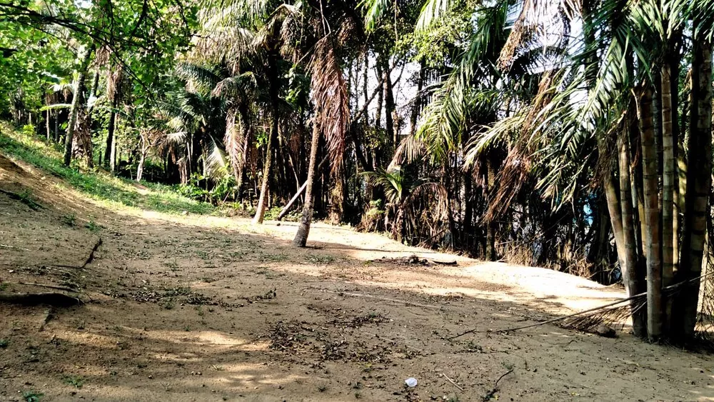 Sítio, 3 quartos, 1 hectares - Foto 26