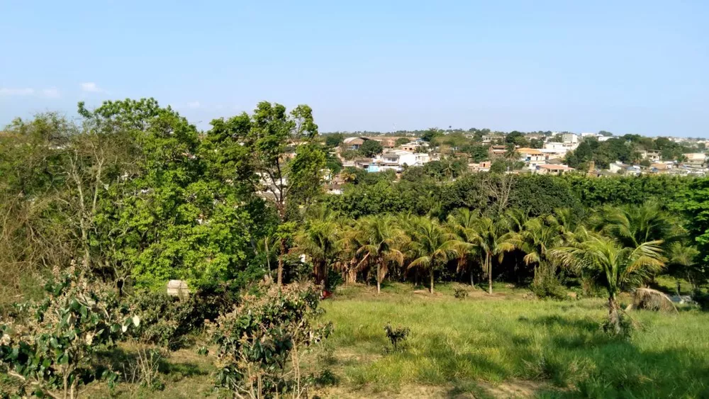 Sítio, 3 quartos, 1 hectares - Foto 23