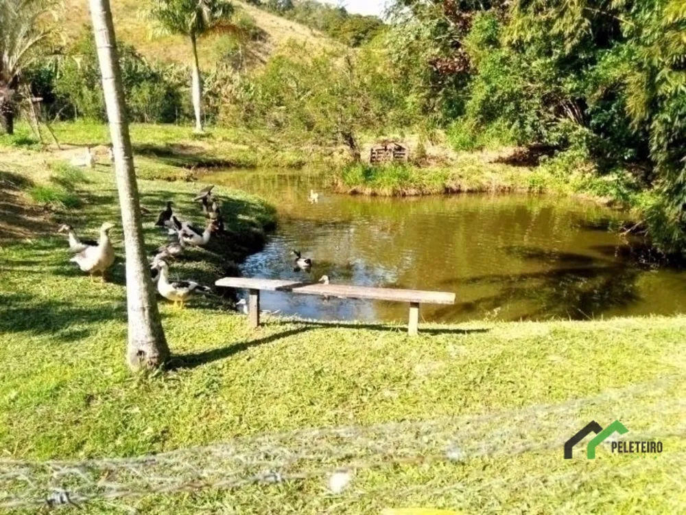 Sítio - Foto 66