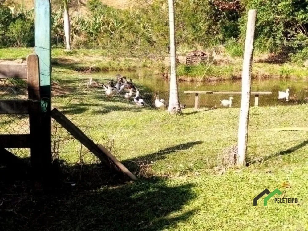 Sítio - Foto 78