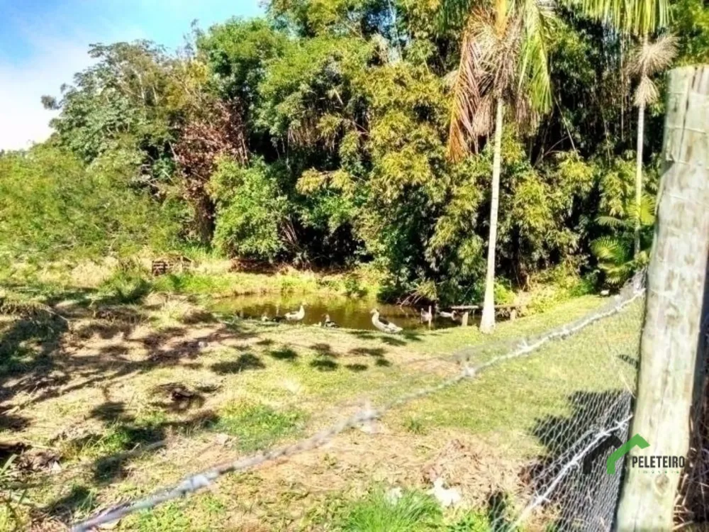Sítio - Foto 59