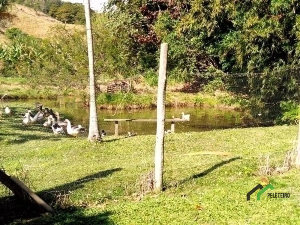 Sítio - Foto 44