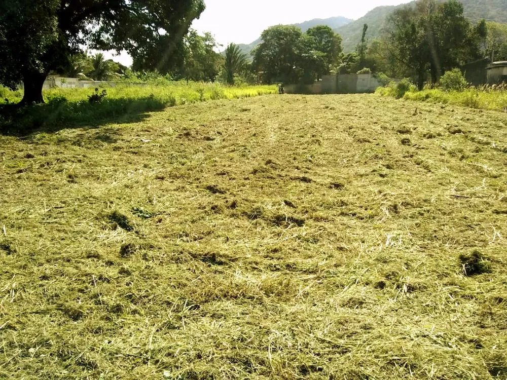 Terreno - Foto 4