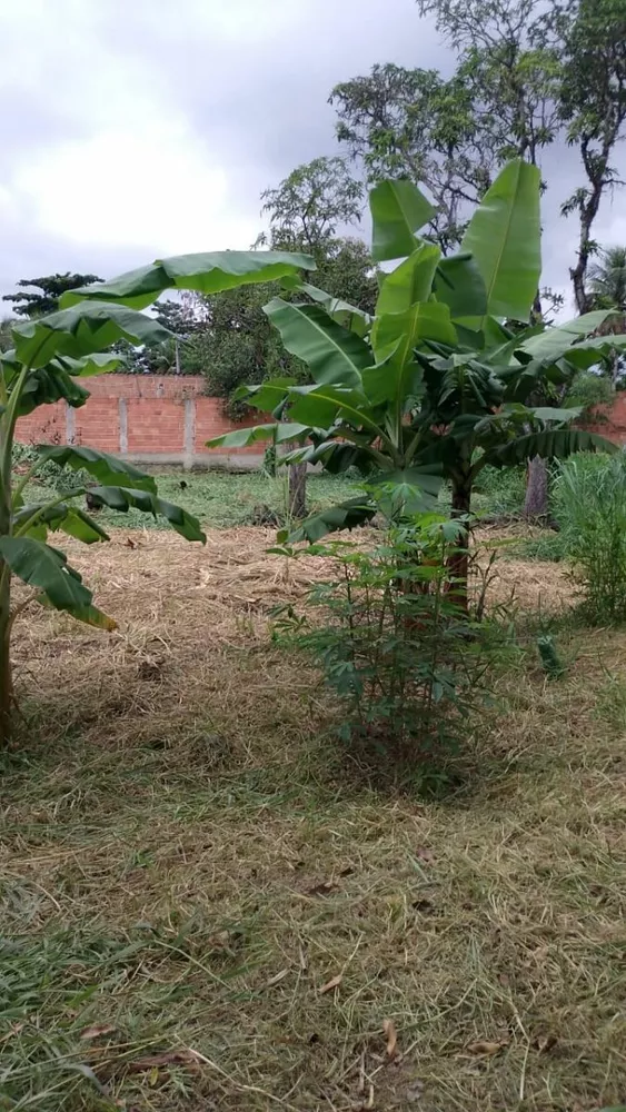 Terreno, 1 m² - Foto 8