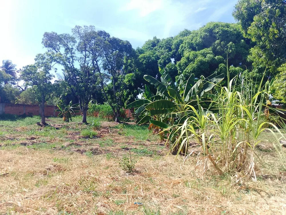 Terreno, 1 m² - Foto 6