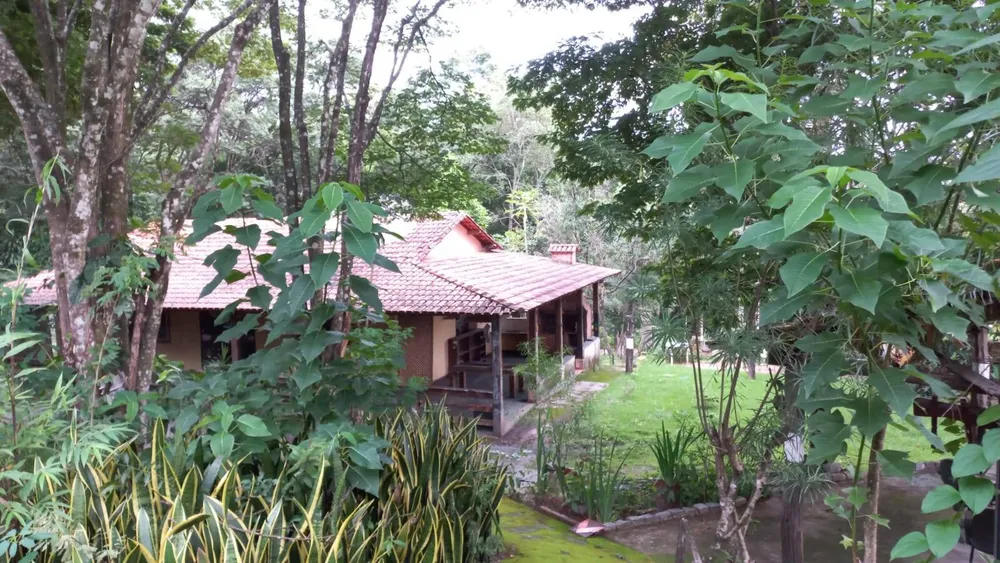 Terreno, 10 hectares - Foto 9