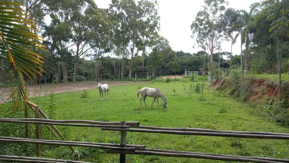 Terreno, 10 hectares - Foto 13
