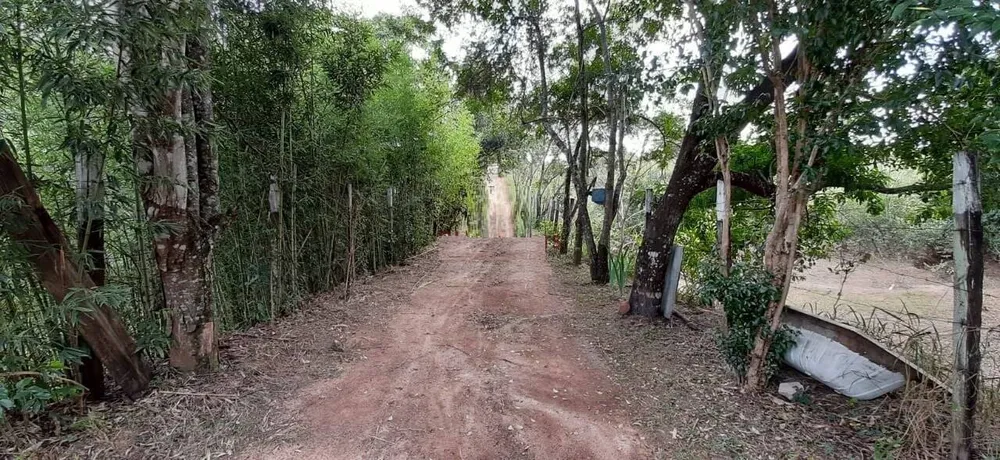 Terreno, 10 hectares - Foto 6