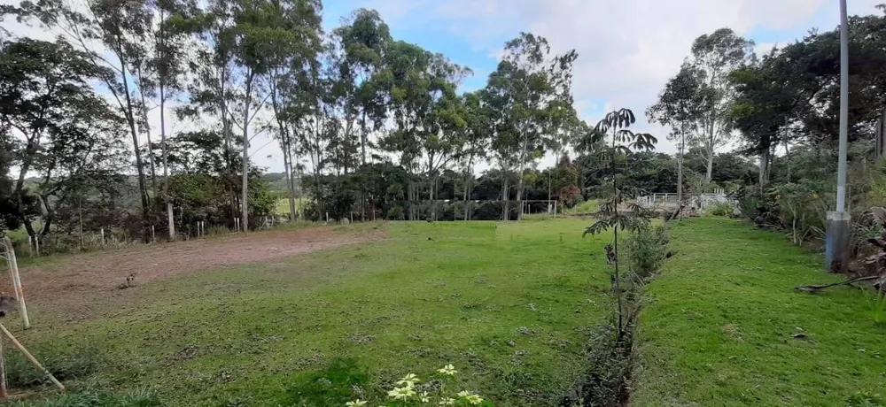 Terreno, 10 hectares - Foto 8