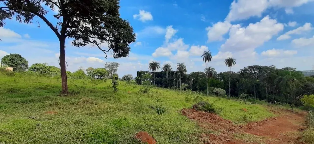 Terreno, 10 hectares - Foto 7