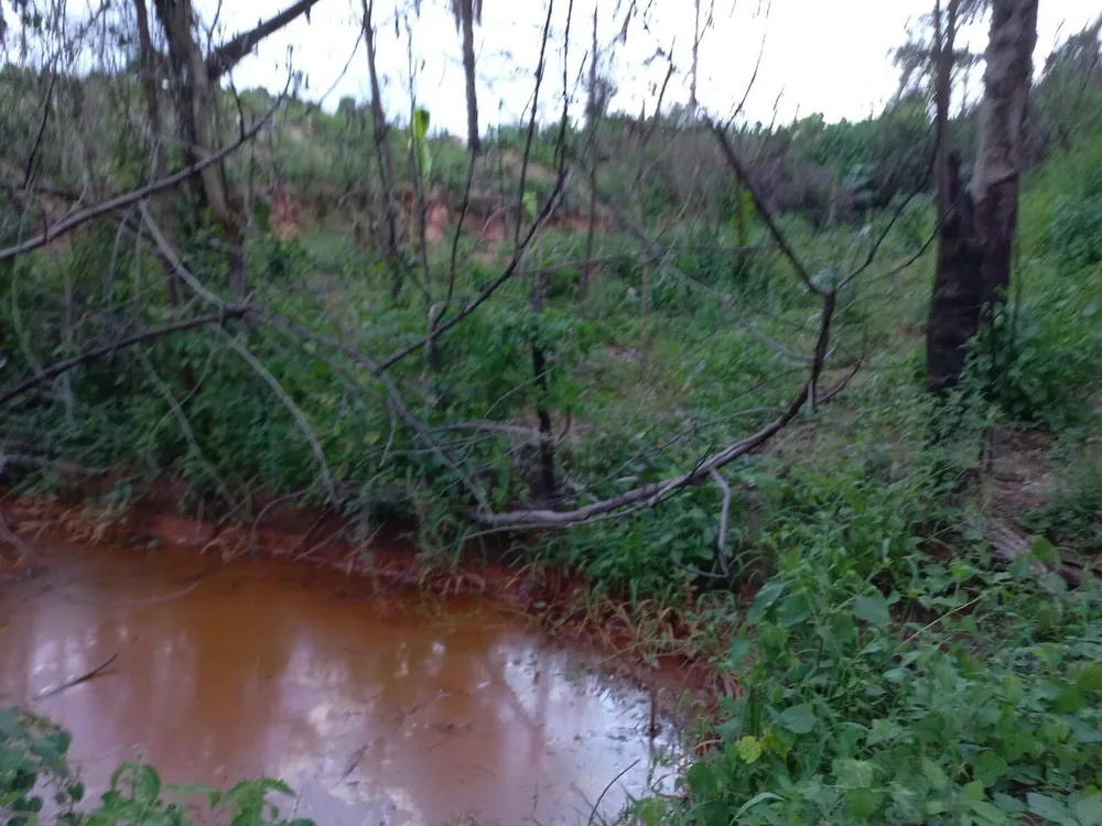 Terreno, 10 hectares - Foto 16