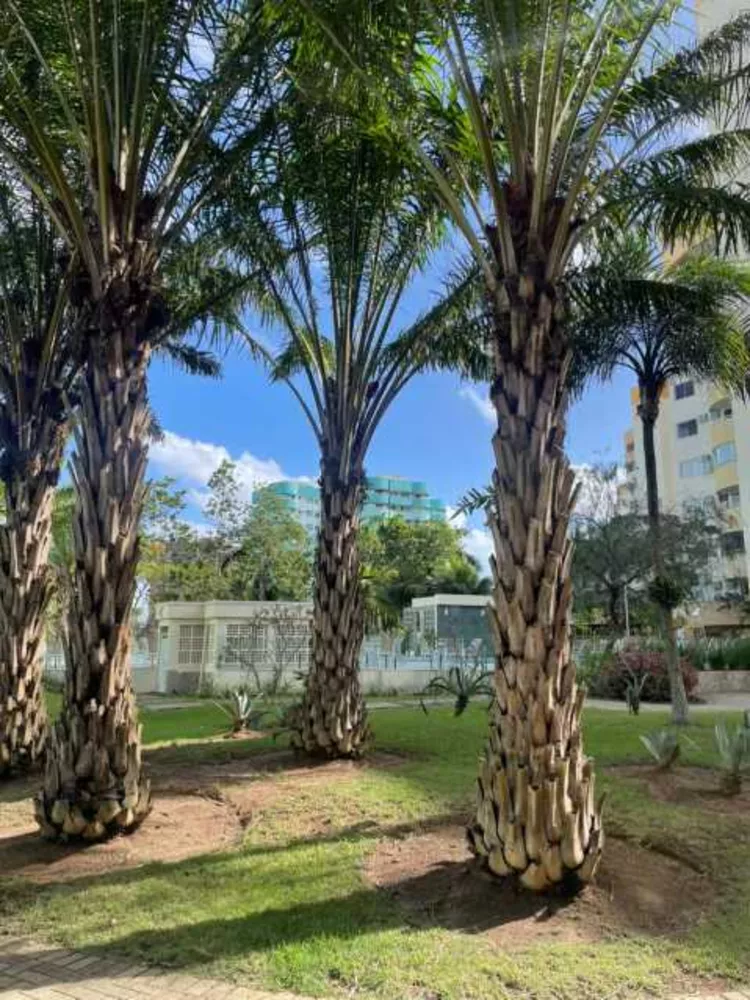 Apartamento, 1 quarto, 56 m² - Foto 2