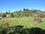 Terreno, 5050 m² - Foto 4