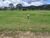 Terreno, 1046 m² - Foto 4