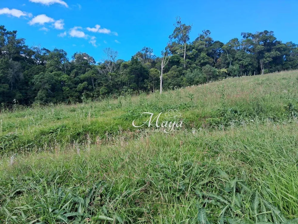 Terreno, 2000 m² - Foto 4