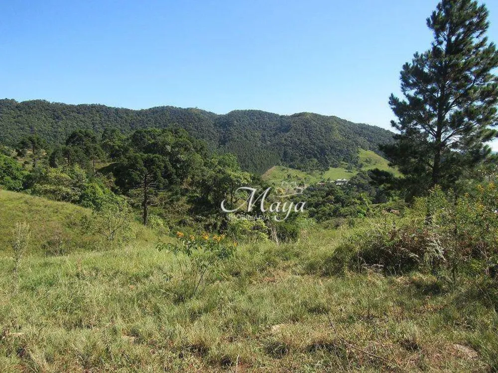 Terreno, 12 hectares - Foto 3