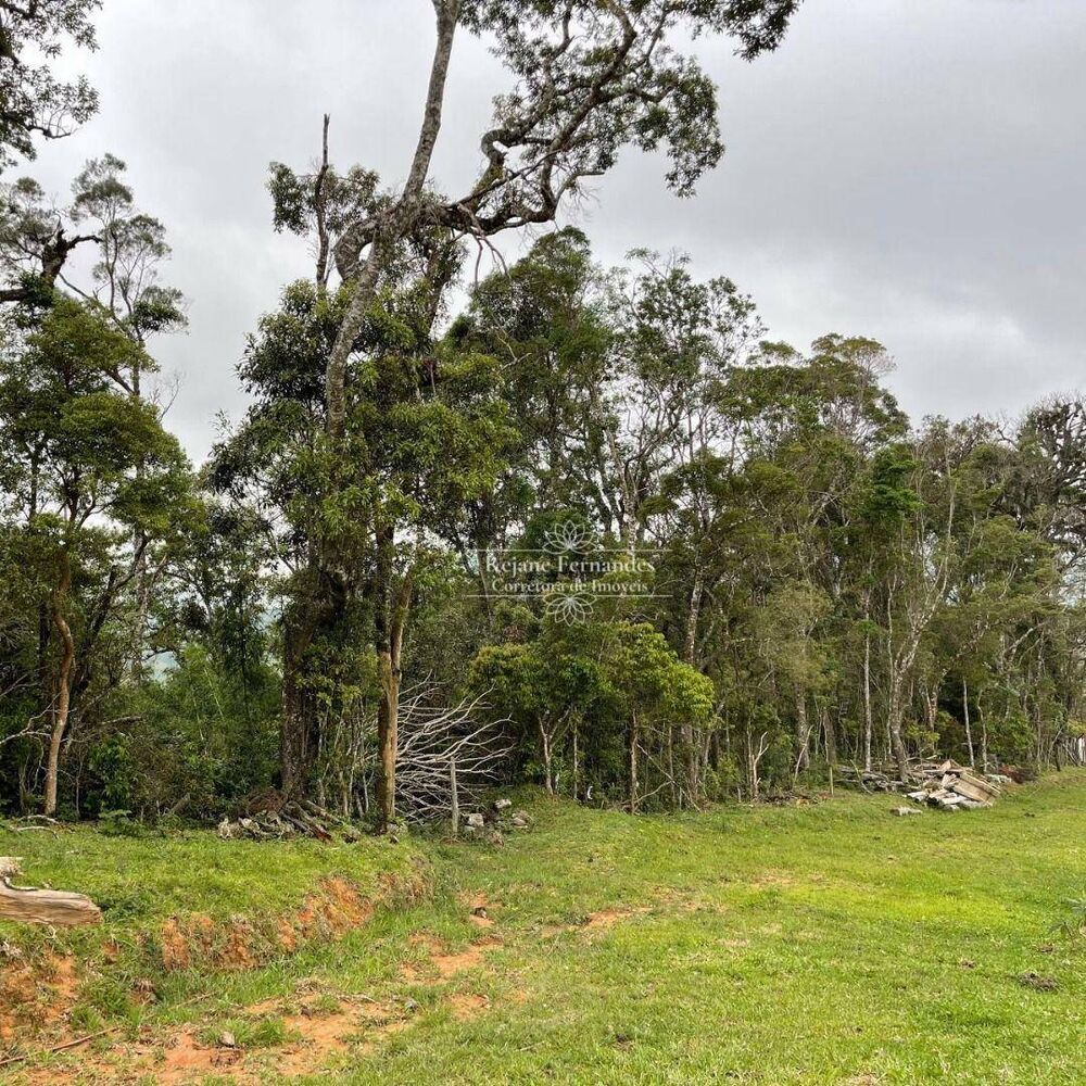 Terreno, 2 hectares - Foto 2