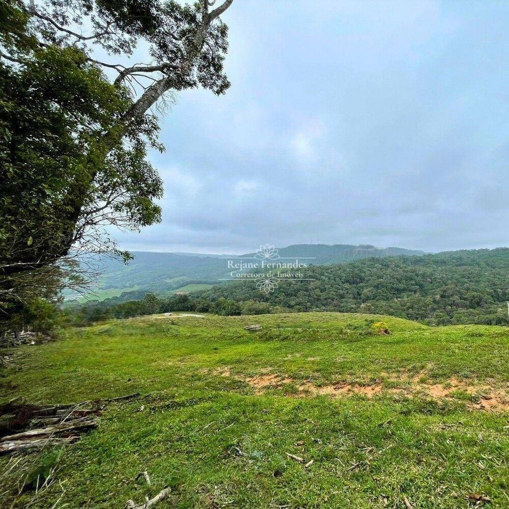 Terreno, 2 hectares - Foto 3