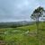 Terreno, 2 hectares - Foto 1